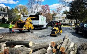 Best Lawn Maintenance Plans  in Brewster, NY