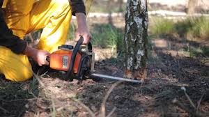Best Aeration Services  in Brewster, NY