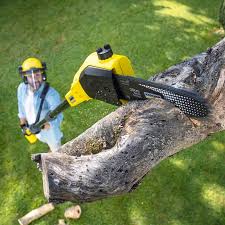 Best Tree Trimming and Pruning  in Brewster, NY