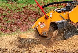 Best Lawn Renovation and Restoration  in Brewster, NY